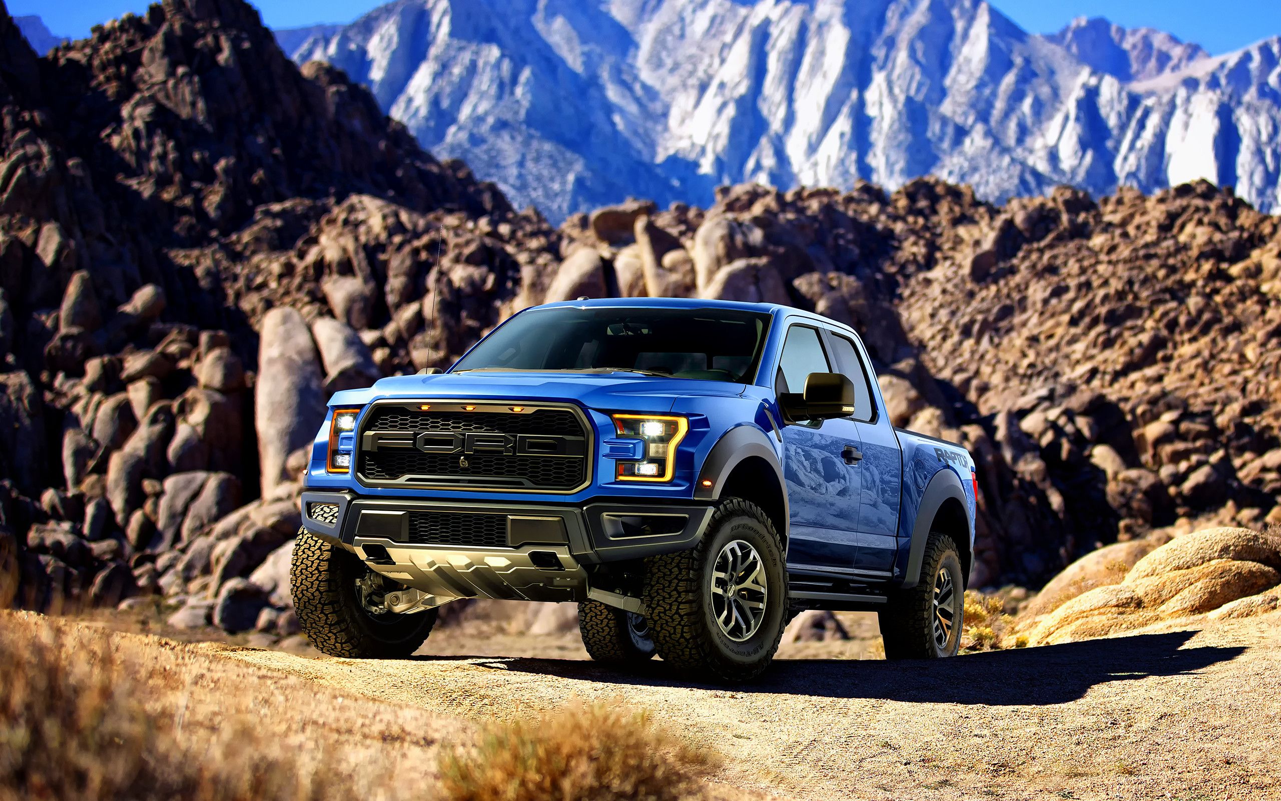 Ford Truck/SUV